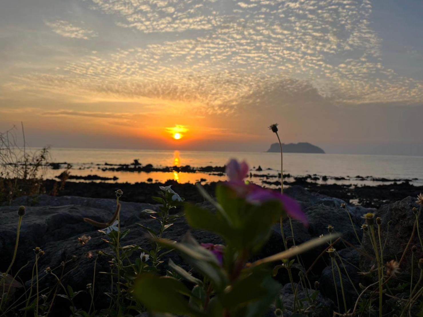 The Beach Resort & Residence - Sha Plus Pathiu Dış mekan fotoğraf